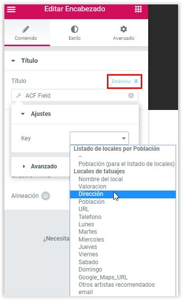 Insertar valores dinamicos de Advanced Custom Fields (ADF) con Elementor