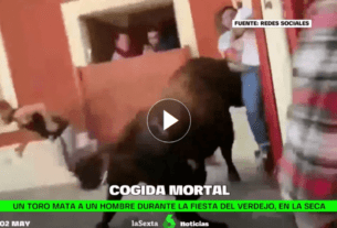 Un toro mata a un hombre durante la fiesta del Verdejo en La Seca