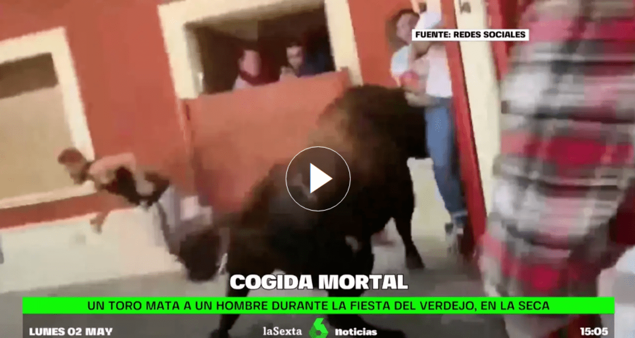 Un toro mata a un hombre durante la fiesta del Verdejo en La Seca