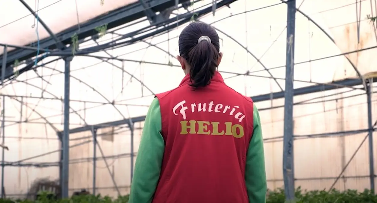 Helio De Frutería Tradicional a Referente Digital: El Caso de Éxito que Demuestra el Poder del Kit Digital para las Pymes